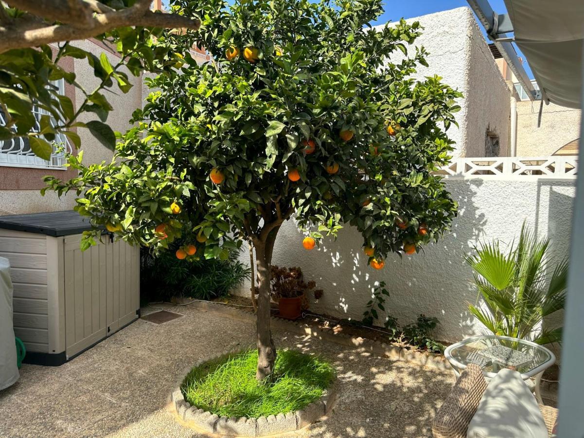 Large Villa Private Pool And Garden Near Beach 滨海罗克塔斯 外观 照片
